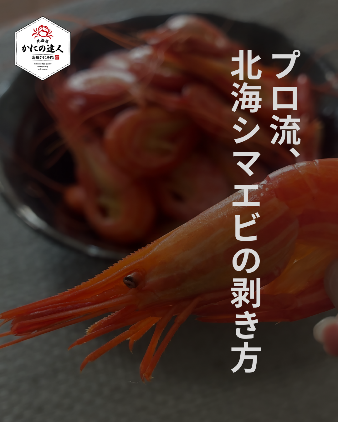 海老ミソを残した北海シマえびの剥き方紹介